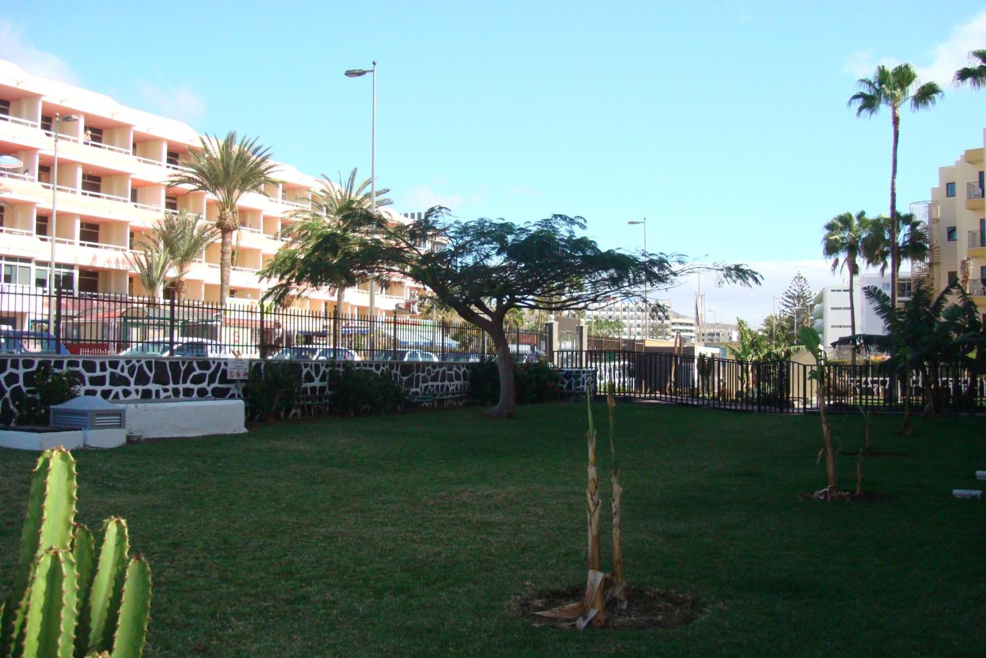 Los Cactus Playa del Ingles  Exterior photo