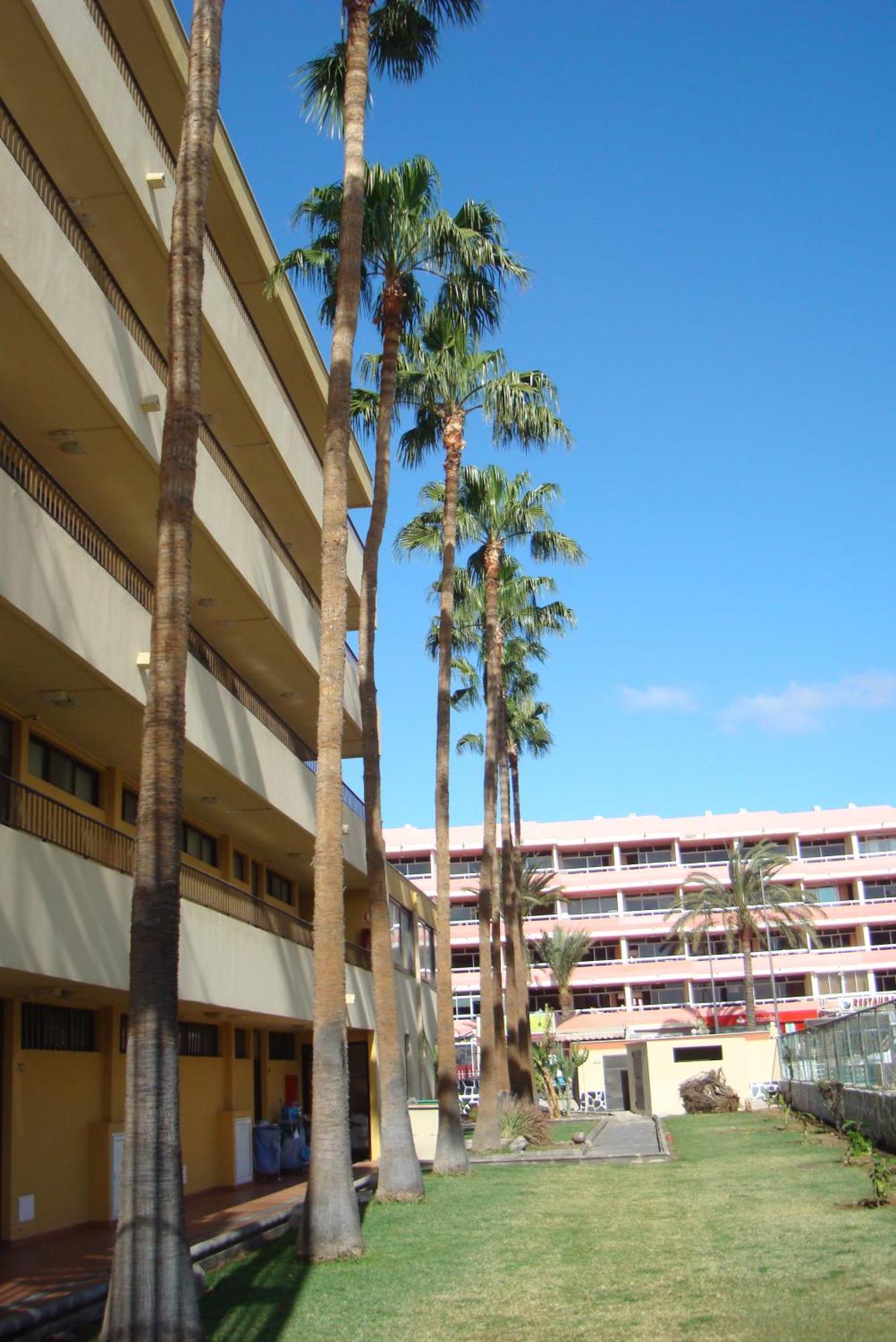 Los Cactus Playa del Ingles  Exterior photo
