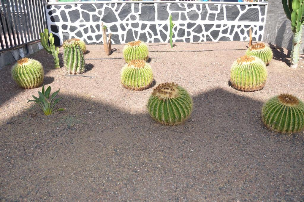 Los Cactus Playa del Ingles  Exterior photo